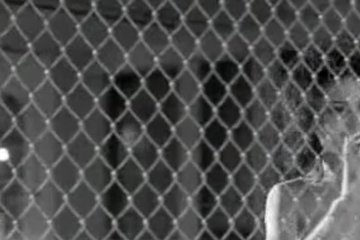 Angelina Jolie In First Sex Scene