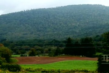 The Birds Bind 3 Babes