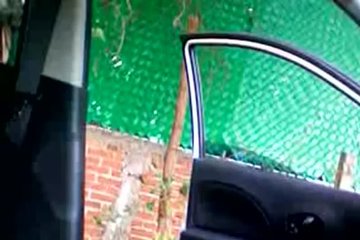 Nancy Y Emilio De Quiroga