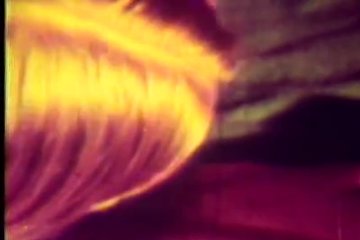 Eager Tail Scores 12 Inches