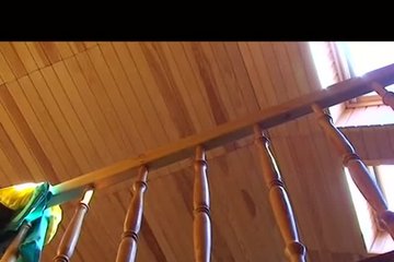 Cock Sucking And Sex On The Stairs