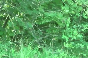 Bitch Stop - Horny Verca Fucked Outdoor - Hardcore Sex Video