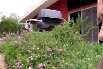 Propertysex - Sexy Asian Real Estate Agent Tricked Into Making Sex Video - Hardcore Sex Video