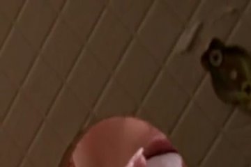 Is Sprayed With Cream From A Gloryhole